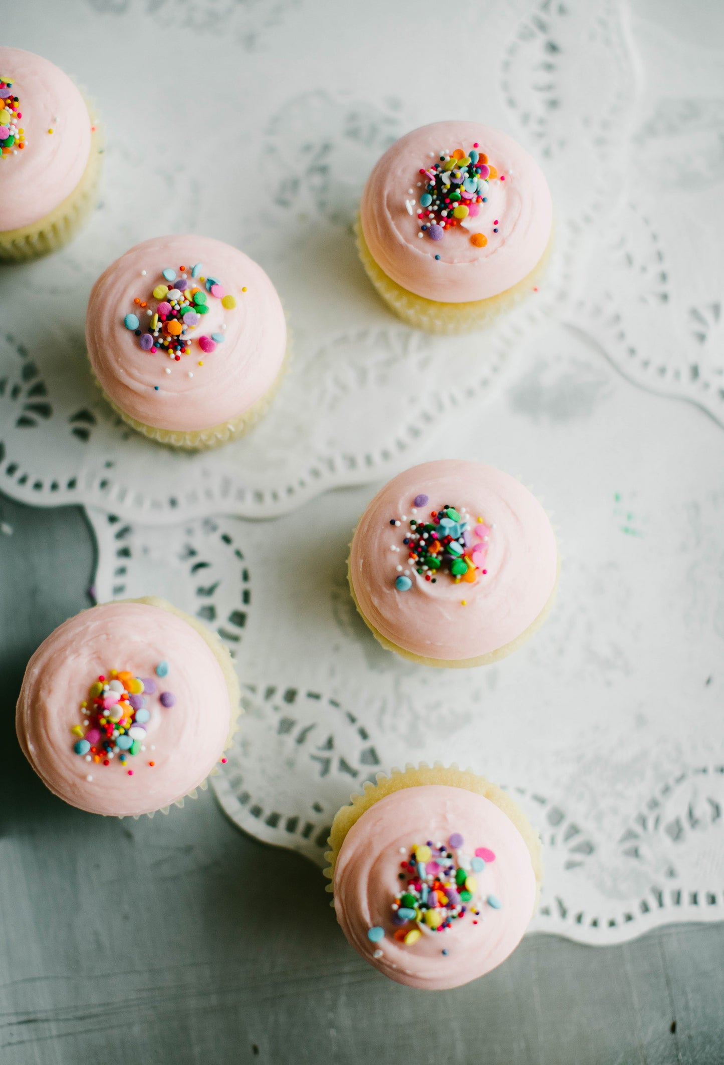 Plain Jane Cupcakes